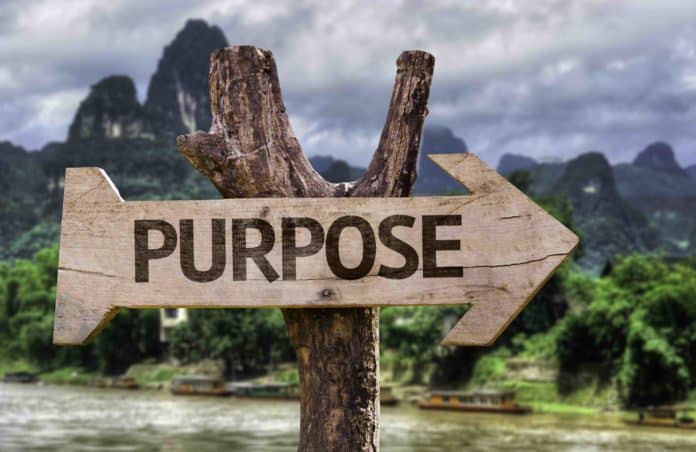 What is the purpose of life? - Thinking Over Coffee